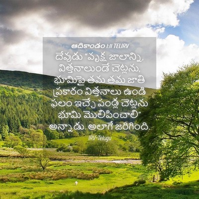 Picture 04 - ఆదికాండం 1:11 TELIRV - దేవుడు “వృక్ష - Bible Verse Picture