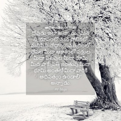 Picture 04 - ఆదికాండం 1:26 TELIRV - దేవుడు ఇలా - Bible Verse Picture