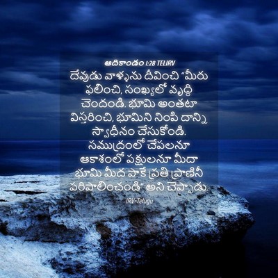 Picture 04 - ఆదికాండం 1:28 TELIRV - దేవుడు వాళ్ళను - Bible Verse Picture