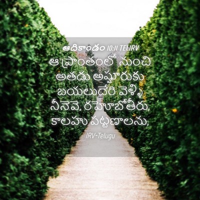 Picture 04 - ఆదికాండం 10:11 TELIRV - ఆ ప్రాంతంలో నుంచి - Bible Verse Picture