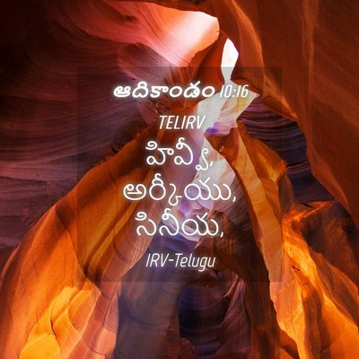 Picture 04 - ఆదికాండం 10:16 TELIRV - హివ్వీ, అర్కీయు, - Bible Verse Picture