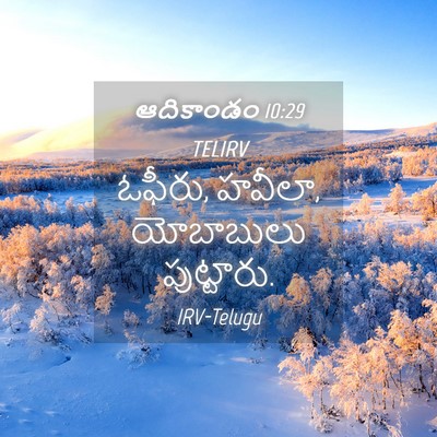 Picture 04 - ఆదికాండం 10:29 TELIRV - ఓఫీరు, హవీలా, - Bible Verse Picture