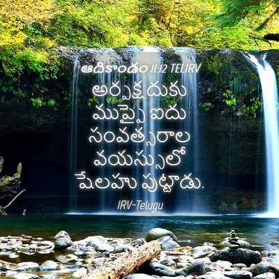 Picture 04 - ఆదికాండం 11:12 TELIRV - అర్పక్షదుకు - Bible Verse Picture