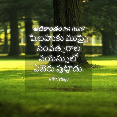 Picture 04 - ఆదికాండం 11:14 TELIRV - షేలహుకు ముప్ఫై - Bible Verse Picture