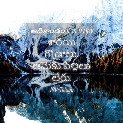 Picture 04 - ఆదికాండం 11:30 TELIRV - శారయి గొడ్రాలు. - Bible Verse Picture