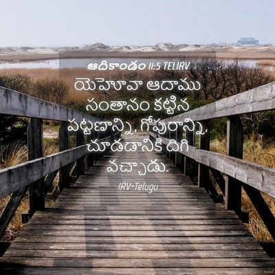 Picture 04 - ఆదికాండం 11:5 TELIRV - యెహోవా ఆదాము - Bible Verse Picture