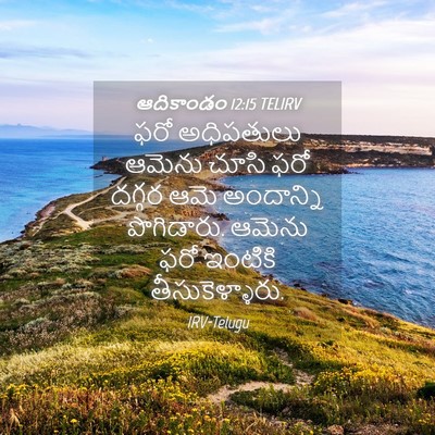 Picture 04 - ఆదికాండం 12:15 TELIRV - ఫరో అధిపతులు - Bible Verse Picture