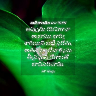 Picture 04 - ఆదికాండం 12:17 TELIRV - అప్పుడు యెహోవా - Bible Verse Picture
