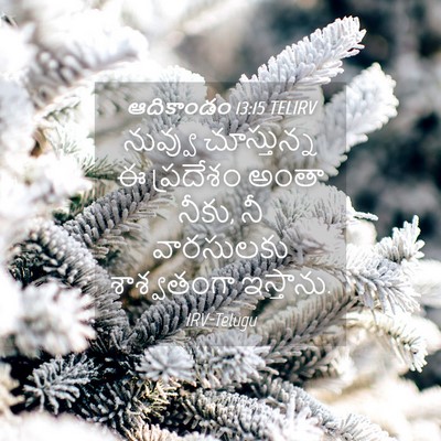 Picture 04 - ఆదికాండం 13:15 TELIRV - నువ్వు చూస్తున్న - Bible Verse Picture