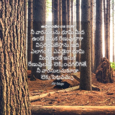 Picture 04 - ఆదికాండం 13:16 TELIRV - నీ వారసులను భూమి - Bible Verse Picture