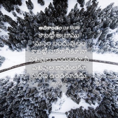 Picture 04 - ఆదికాండం 13:8 TELIRV - కాబట్టి అబ్రాము - Bible Verse Picture