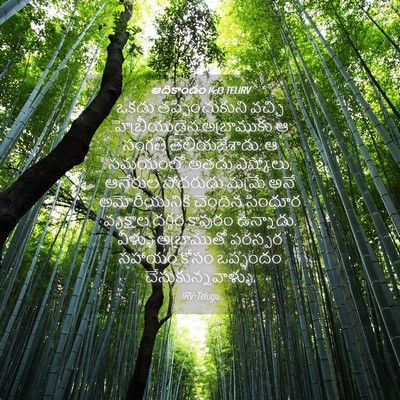 Picture 04 - ఆదికాండం 14:13 TELIRV - ఒకడు తప్పించుకుని - Bible Verse Picture
