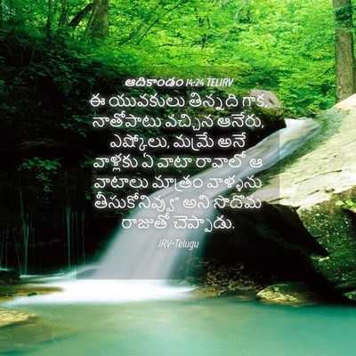 Picture 04 - ఆదికాండం 14:24 TELIRV - ఈ యువకులు తిన్నది - Bible Verse Picture