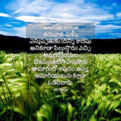 Picture 04 - ఆదికాండం 14:7 TELIRV - తరువాత మళ్ళీ - Bible Verse Picture