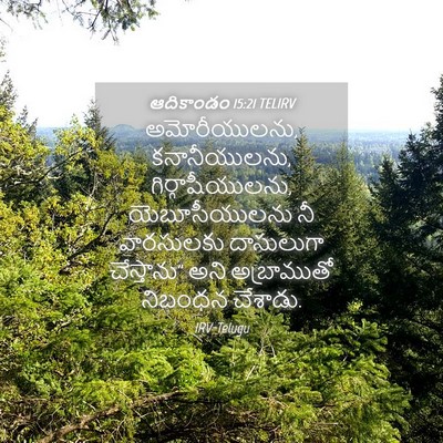 Picture 04 - ఆదికాండం 15:21 TELIRV - అమోరీయులను, - Bible Verse Picture