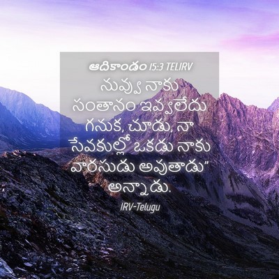 Picture 04 - ఆదికాండం 15:3 TELIRV - నువ్వు నాకు - Bible Verse Picture