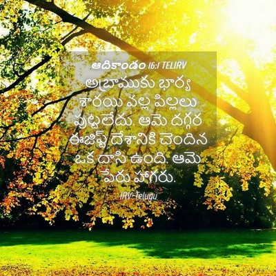 Picture 04 - ఆదికాండం 16:1 TELIRV - అబ్రాముకు భార్య - Bible Verse Picture