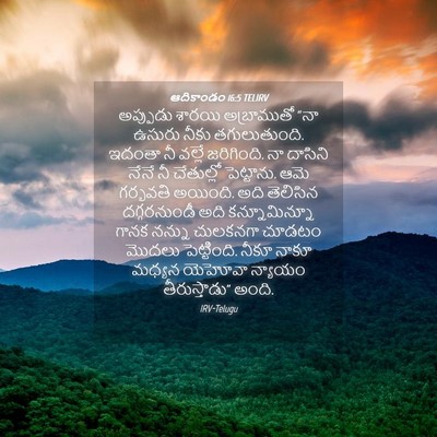Picture 04 - ఆదికాండం 16:5 TELIRV - అప్పుడు శారయి - Bible Verse Picture