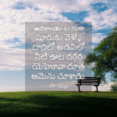 Picture 04 - ఆదికాండం 16:7 TELIRV - షూరుకు వెళ్ళే - Bible Verse Picture