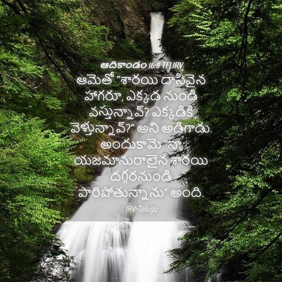 Picture 04 - ఆదికాండం 16:8 TELIRV - ఆమెతో “శారయి - Bible Verse Picture