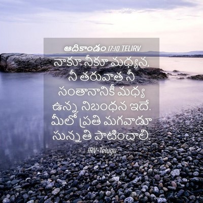 Picture 04 - ఆదికాండం 17:10 TELIRV - నాకూ నీకూ మధ్యన, నీ - Bible Verse Picture