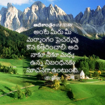 Picture 04 - ఆదికాండం 17:11 TELIRV - అంటే మీరు మీ - Bible Verse Picture