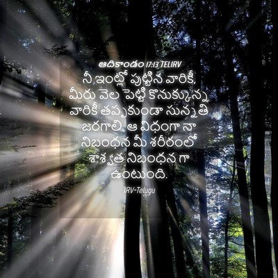 Picture 04 - ఆదికాండం 17:13 TELIRV - నీ ఇంట్లో పుట్టిన - Bible Verse Picture
