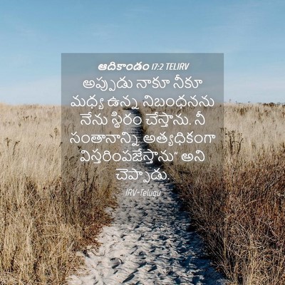 Picture 04 - ఆదికాండం 17:2 TELIRV - అప్పుడు నాకూ నీకూ - Bible Verse Picture
