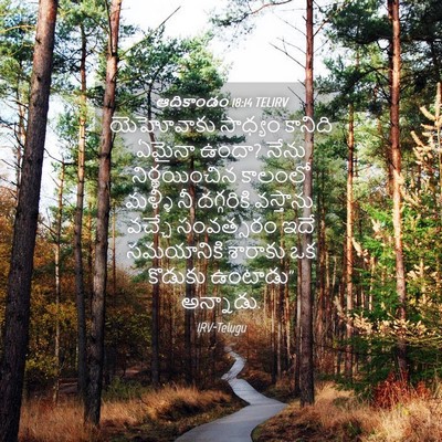 Picture 04 - ఆదికాండం 18:14 TELIRV - యెహోవాకు సాధ్యం - Bible Verse Picture