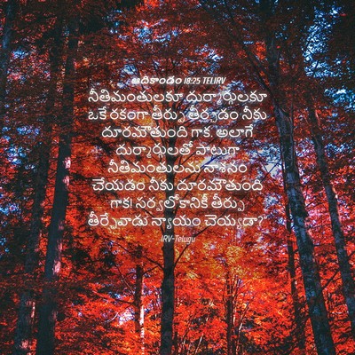 Picture 04 - ఆదికాండం 18:25 TELIRV - నీతిమంతులకూ - Bible Verse Picture