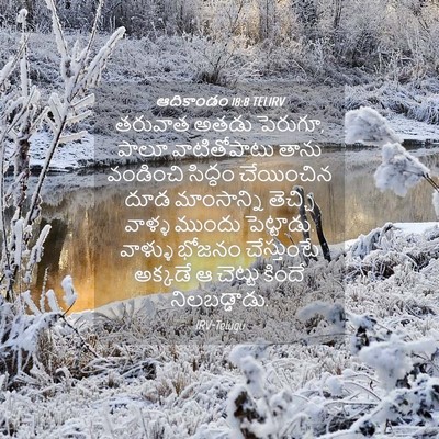 Picture 04 - ఆదికాండం 18:8 TELIRV - తరువాత అతడు - Bible Verse Picture