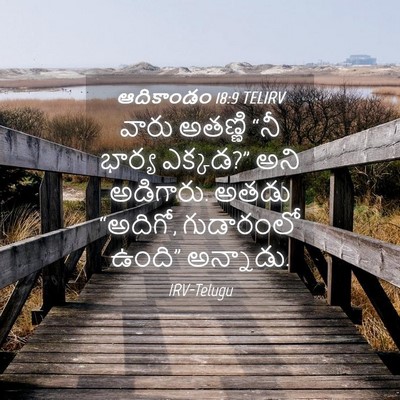 Picture 04 - ఆదికాండం 18:9 TELIRV - వారు అతణ్ణి “నీ - Bible Verse Picture