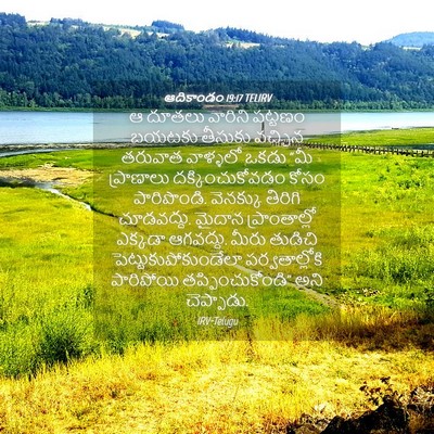 Picture 04 - ఆదికాండం 19:17 TELIRV - ఆ దూతలు వారిని - Bible Verse Picture