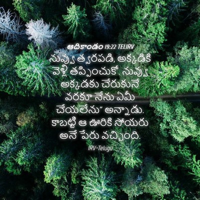 Picture 04 - ఆదికాండం 19:22 TELIRV - నువ్వు త్వరపడి, - Bible Verse Picture