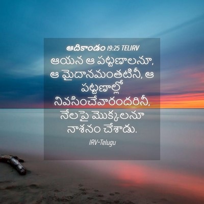 Picture 04 - ఆదికాండం 19:25 TELIRV - ఆయన ఆ పట్టణాలనూ, ఆ - Bible Verse Picture