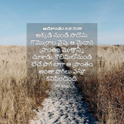 Picture 04 - ఆదికాండం 19:28 TELIRV - అక్కడి నుండి - Bible Verse Picture