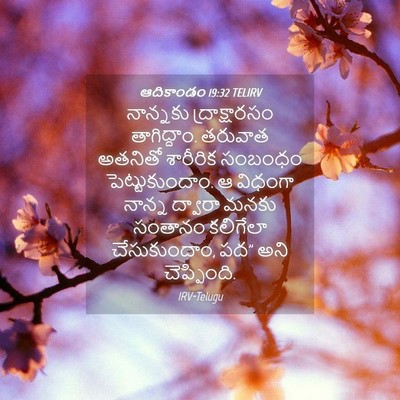 Picture 04 - ఆదికాండం 19:32 TELIRV - నాన్నకు - Bible Verse Picture
