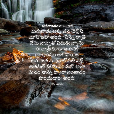 Picture 04 - ఆదికాండం 19:34 TELIRV - మరునాడు అక్క తన - Bible Verse Picture