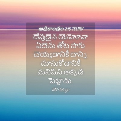 Picture 04 - ఆదికాండం 2:15 TELIRV - దేవుడైన యెహోవా - Bible Verse Picture