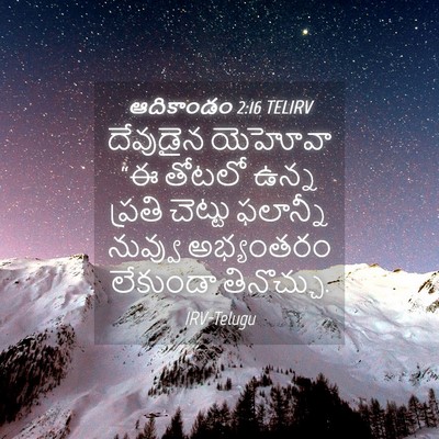 Picture 04 - ఆదికాండం 2:16 TELIRV - దేవుడైన యెహోవా “ఈ - Bible Verse Picture