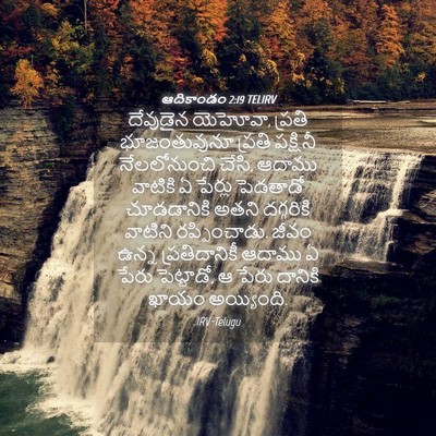 Picture 04 - ఆదికాండం 2:19 TELIRV - దేవుడైన యెహోవా, - Bible Verse Picture