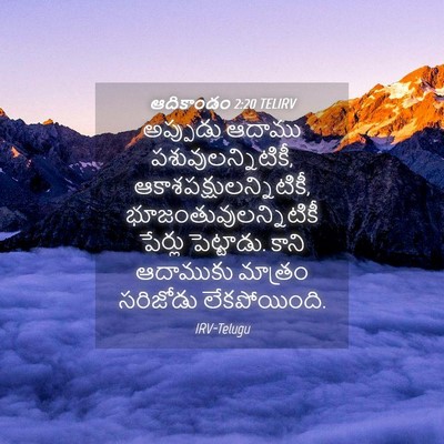 Picture 04 - ఆదికాండం 2:20 TELIRV - అప్పుడు ఆదాము - Bible Verse Picture
