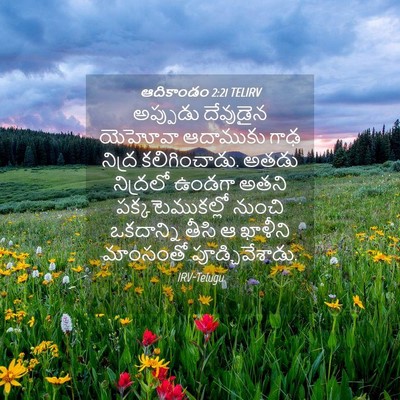 Picture 04 - ఆదికాండం 2:21 TELIRV - అప్పుడు దేవుడైన - Bible Verse Picture