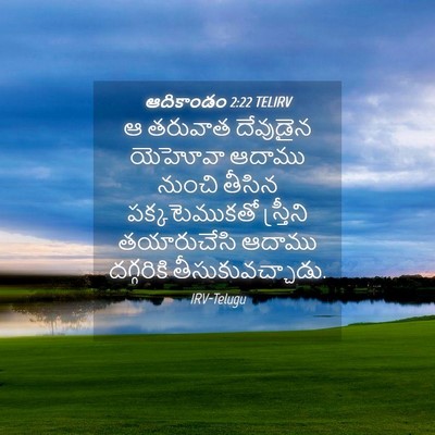 Picture 04 - ఆదికాండం 2:22 TELIRV - ఆ తరువాత దేవుడైన - Bible Verse Picture