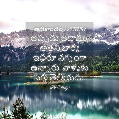 Picture 04 - ఆదికాండం 2:25 TELIRV - అప్పుడు ఆదాము, - Bible Verse Picture