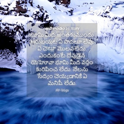 Picture 04 - ఆదికాండం 2:5 TELIRV - భూమి మీద - Bible Verse Picture