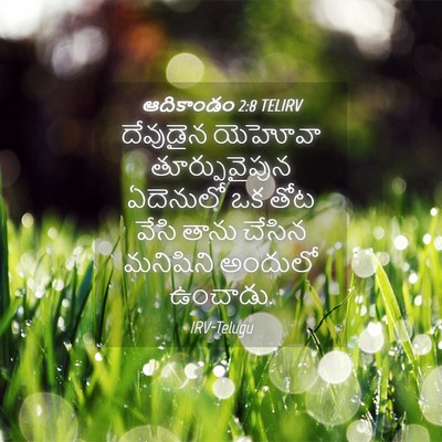 Picture 04 - ఆదికాండం 2:8 TELIRV - దేవుడైన యెహోవా - Bible Verse Picture