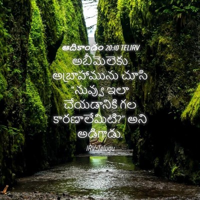 Picture 04 - ఆదికాండం 20:10 TELIRV - అబీమెలెకు - Bible Verse Picture