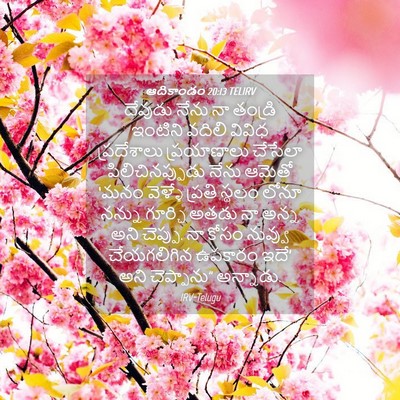 Picture 04 - ఆదికాండం 20:13 TELIRV - దేవుడు నేను నా - Bible Verse Picture