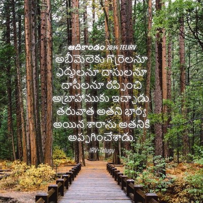 Picture 04 - ఆదికాండం 20:14 TELIRV - అబీమెలెకు - Bible Verse Picture